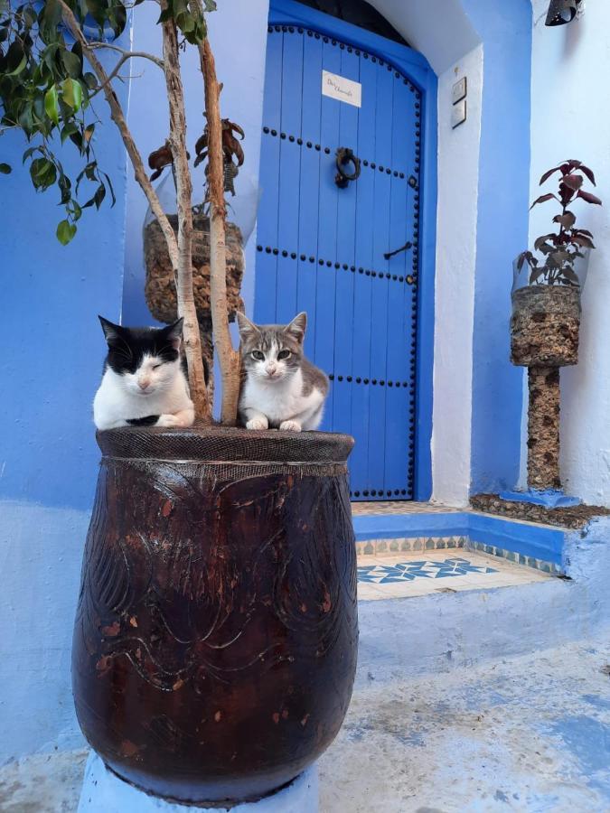 Riad Chourafa Chefchaouen Exterior foto